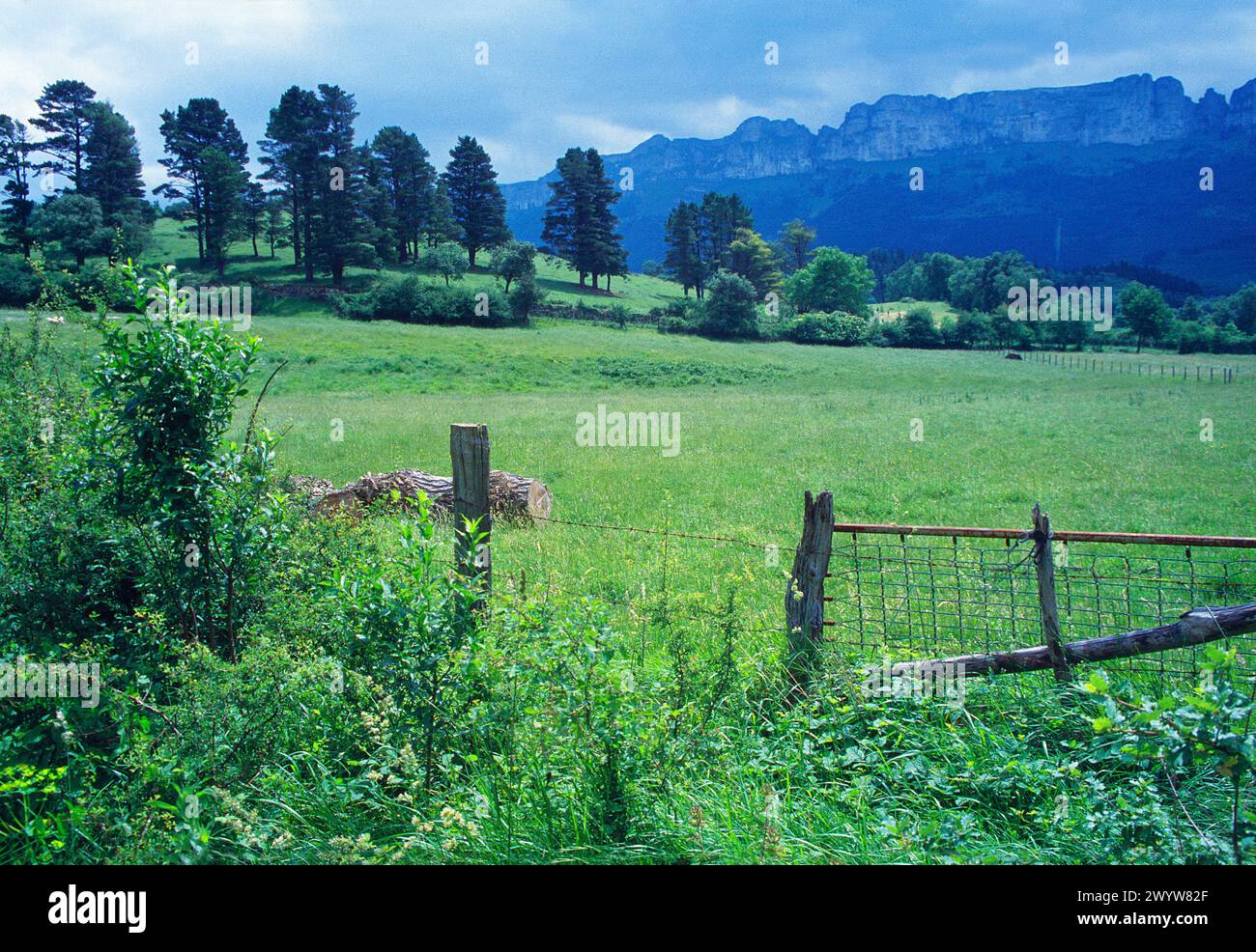 Paisajes de praderas hi-res stock photography and images - Alamy