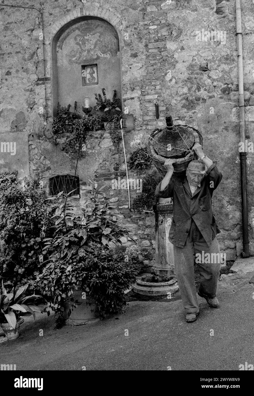 ItalyTuscany Casole d'Elsa a Tuscan hill top village Traditional Grape