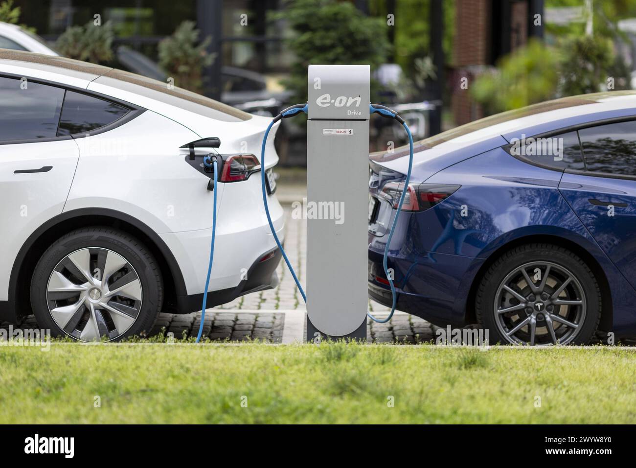 Eine Stromtankstelle E-Auto-Ladestation fuer elektrische Fahrzuge vom Energiekonzern E.ON an der gerade zwei PKW des Automobilherstellers Tesla laden, Stock Photo