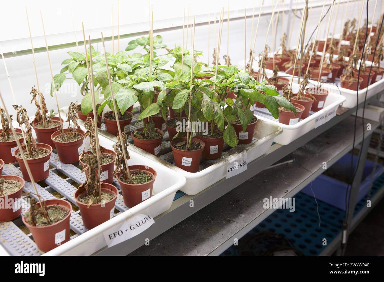 Planta de control hi-res stock photography and images - Alamy