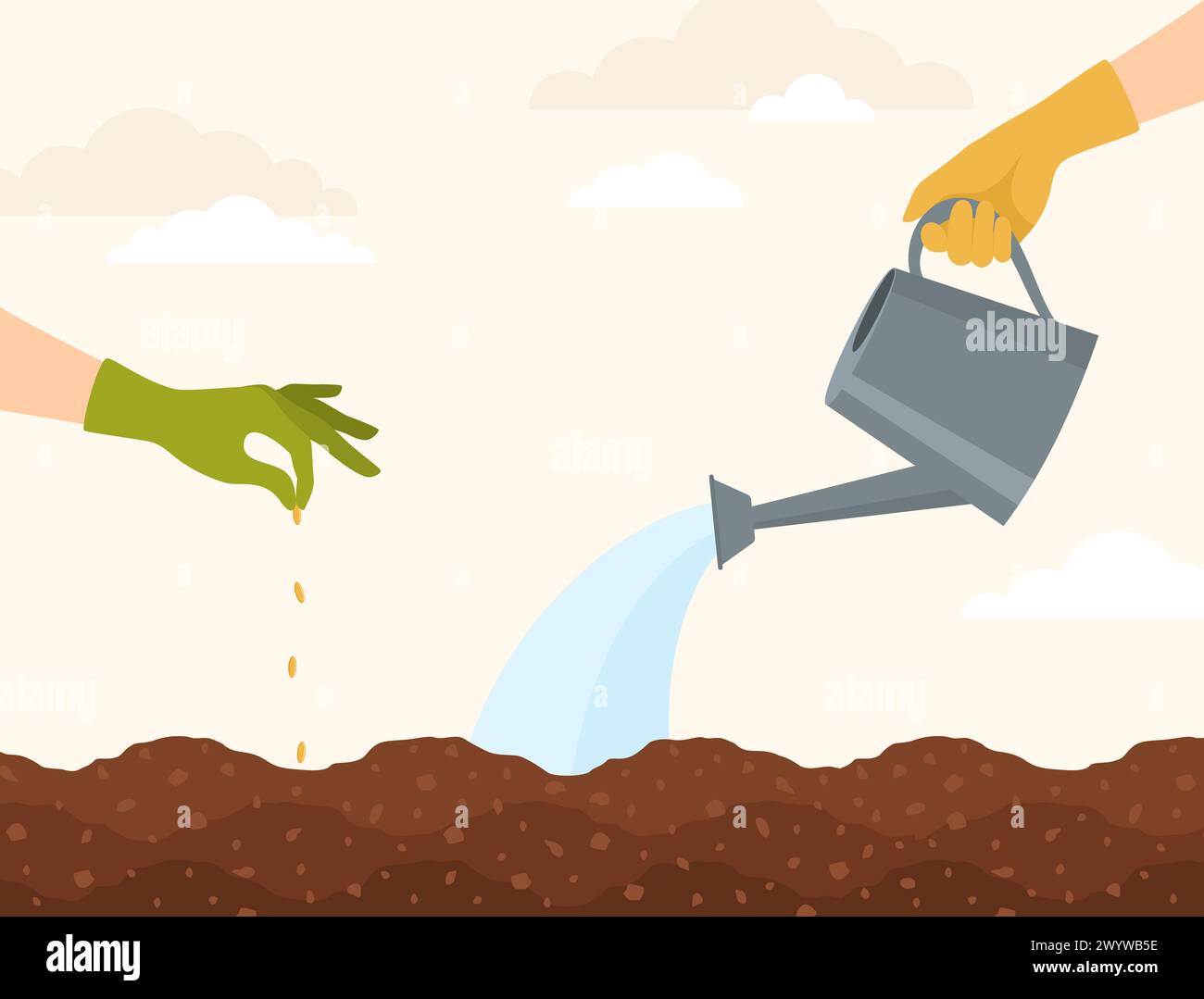 Hands in rubber gloves planting seeds in the soil and watering it from a watering can. Flat vector illustration Stock Vector