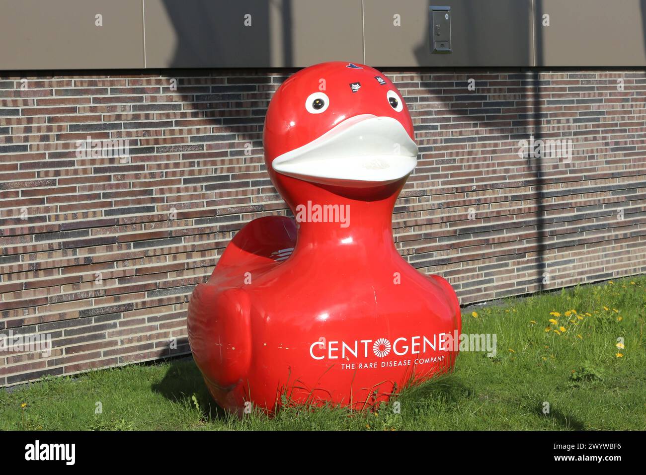 Centogene Rostock Pommern ente hi-res stock photography and images - Alamy