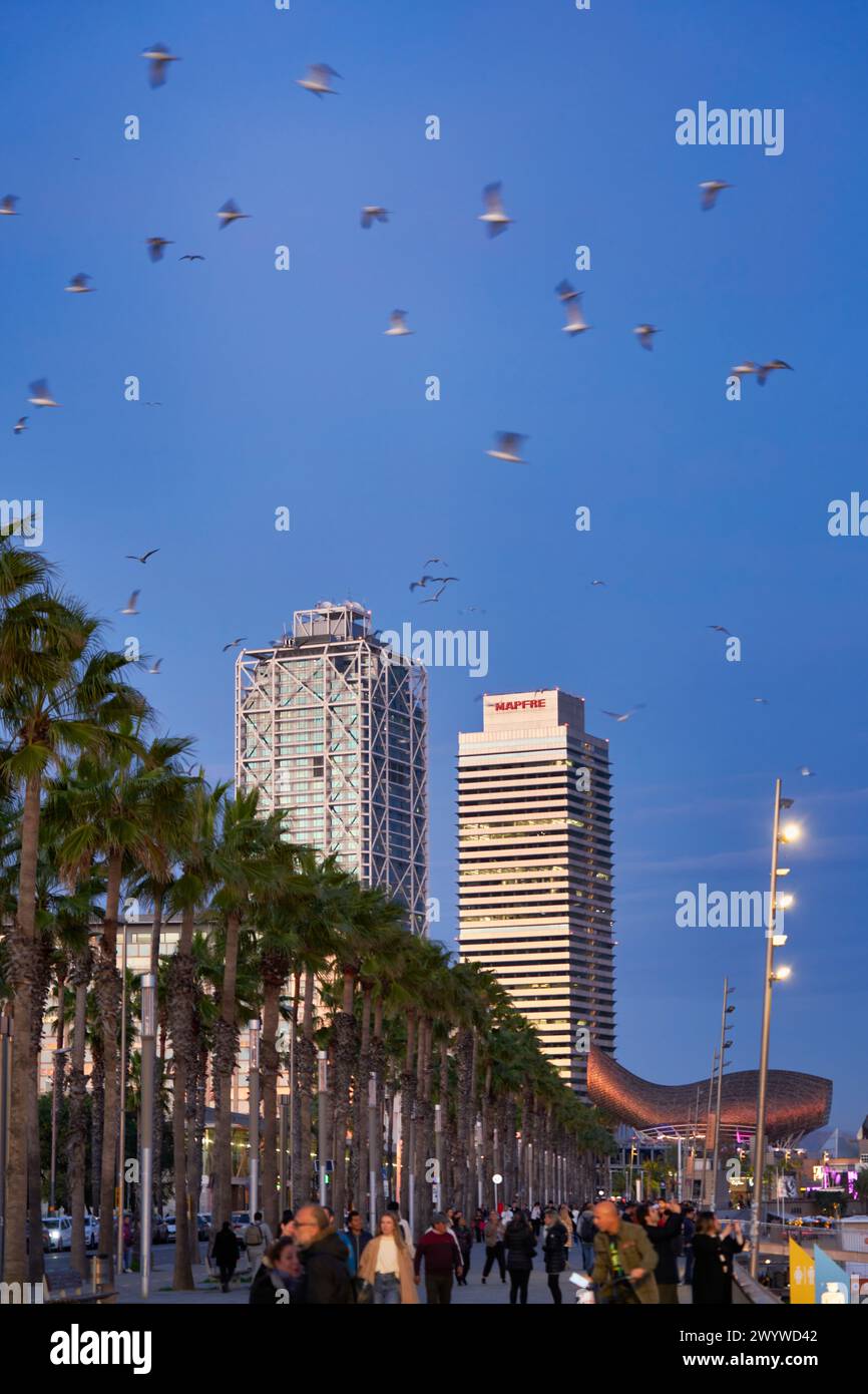 Paseo Maritimo de la Barceloneta, Torre Mapfre y Hotel Arts, Barcelona ...