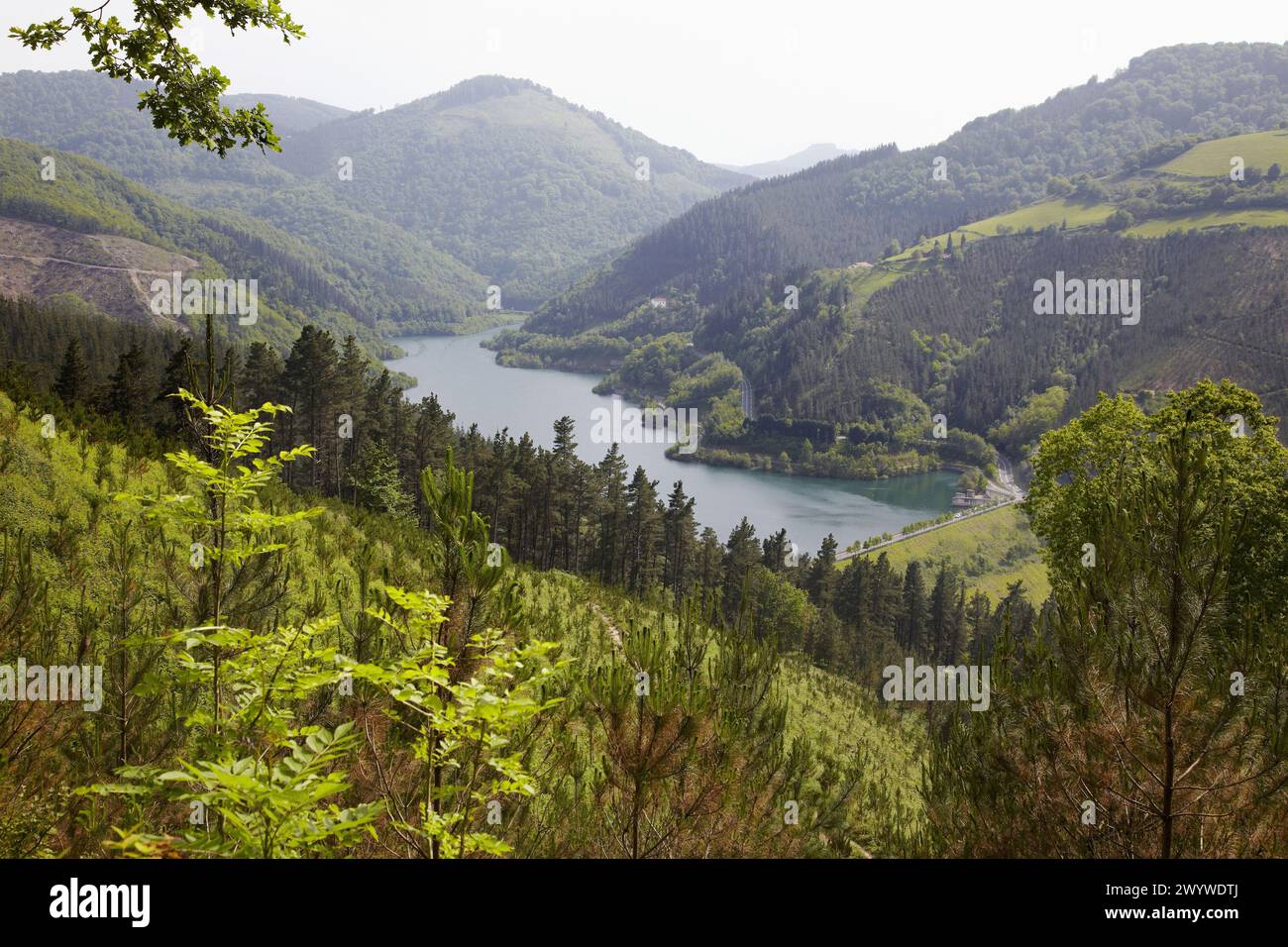 Ibaieder reservoir, Beizama, Guipuzcoa, Basque Country, Spain. Stock Photo