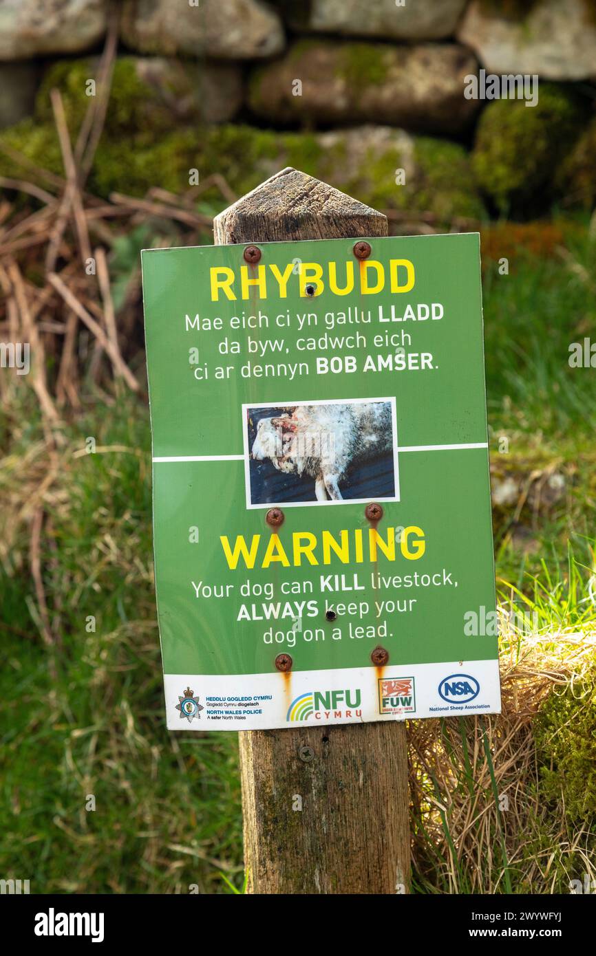 Warning sign, keep dogs on lead, Snowdonia National Park near Pont Pen-y-benglog, Bethesda, Bangor, Wales, Great Britain Stock Photo