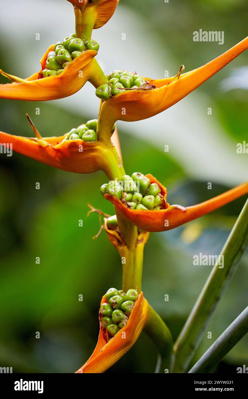 Reverence hotel hi-res stock photography and images - Alamy