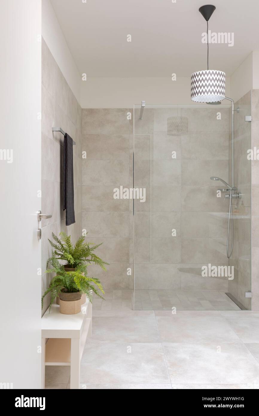 Modern bathroom interior with shower and glass partition. On the right two small plants. No people inside.  Bright and welcoming space. The shower is Stock Photo