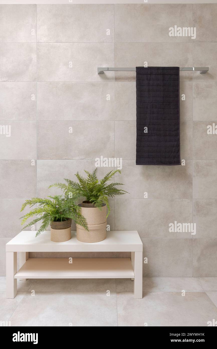 Detail of a bathroom interior. A hanging towel and two small plants underneath.  Image with space to write. Stock Photo