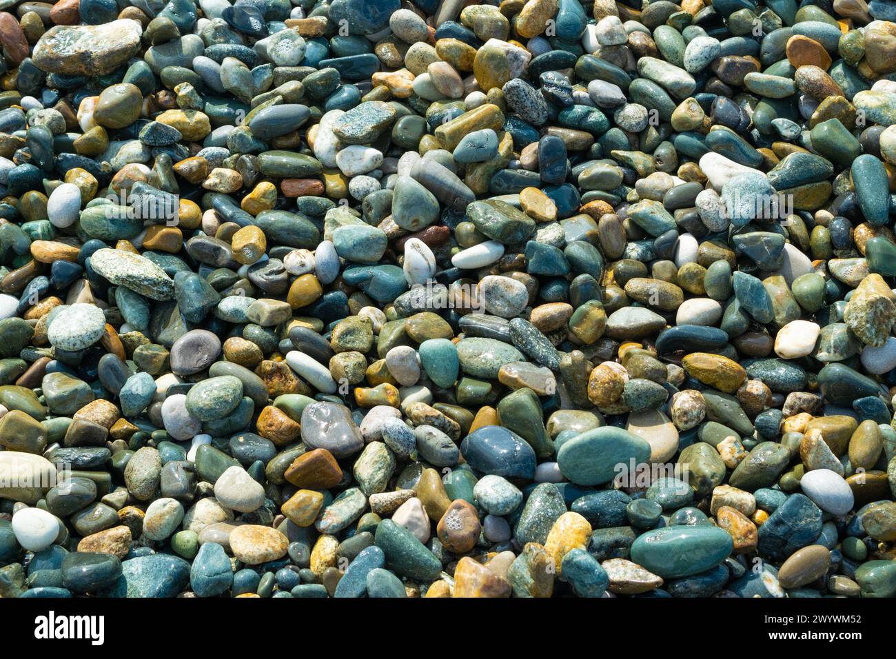 Sea pebbles. Rocky seashore. Natural backgrounds and textures. Small ...