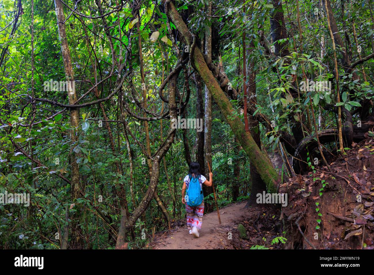 Woman traveler in jungle hi-res stock photography and images - Alamy