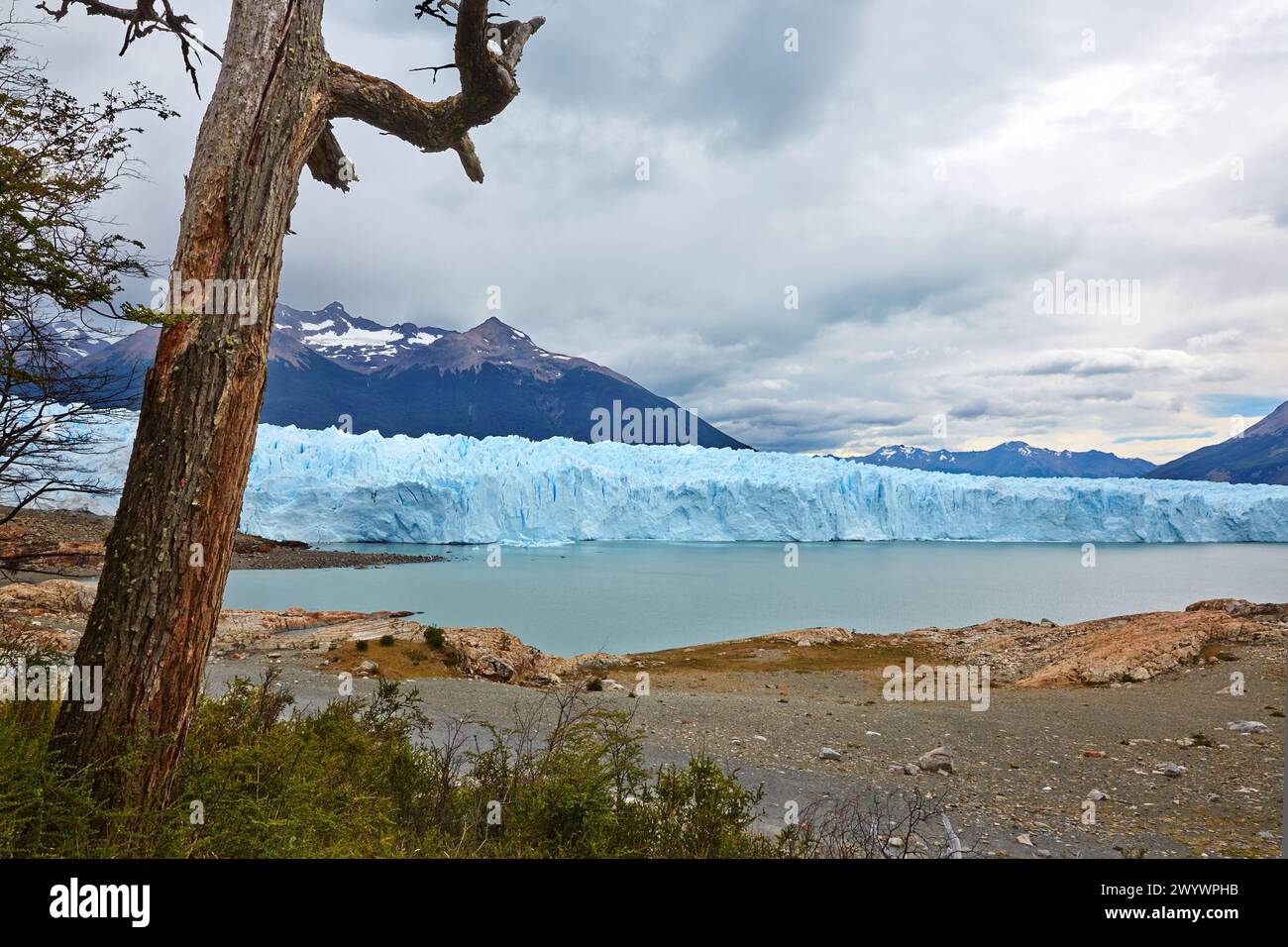 Perito Moreno glacier. Los Glaciares National Park. Argentino Lake ...