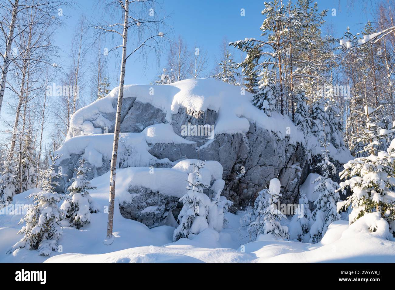 Frosty January day in the Ruskeala Mountain Park. Karelia, Russia Stock Photo