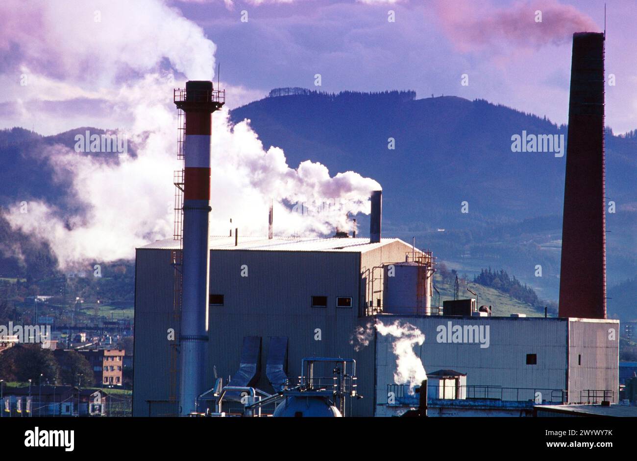 Paper mill. Iurreta. Biscay. Spain. Stock Photo