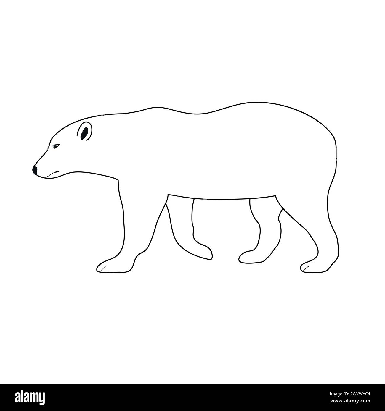 Vector flat hand drawn outline polar bear Stock Vector Image & Art - Alamy