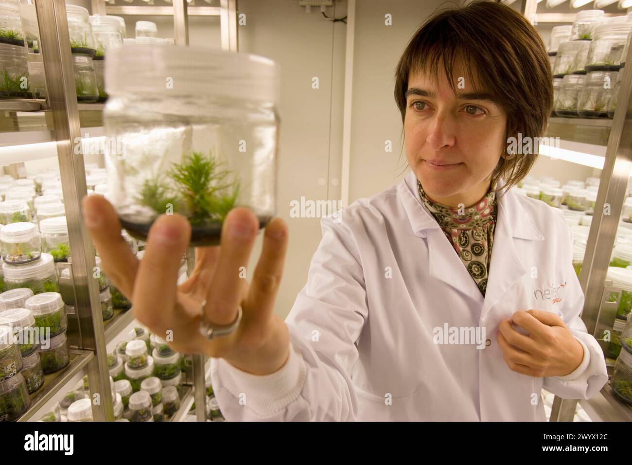 Planta de laboratorio hi-res stock photography and images - Alamy