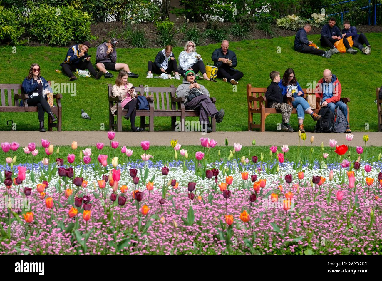 London, UK, 8th April, 2024. Visitors to Victoria Embankment Gardens enjoy the sunshine and milder temperatures after the recent windy conditions subside. Credit: Eleventh Hour Photography/Alamy Live News Stock Photo