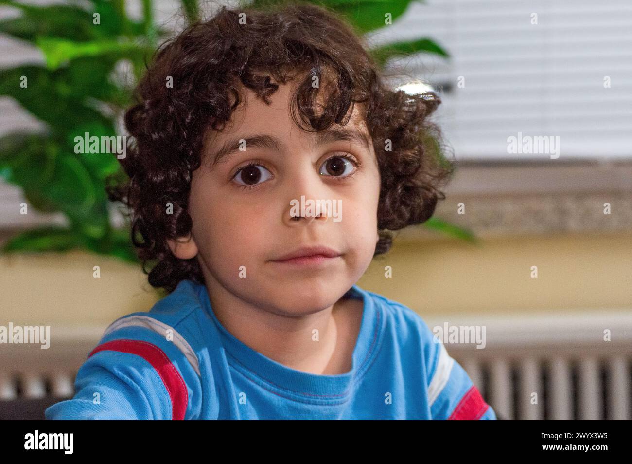 Portrait of child boy male person kid, Latin American ethnicity and ...
