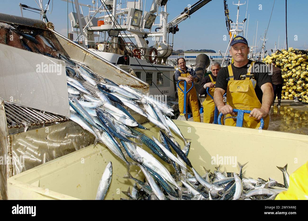 Unloading Fish Falling from fishing boat hi-res stock photography and images - Alamy