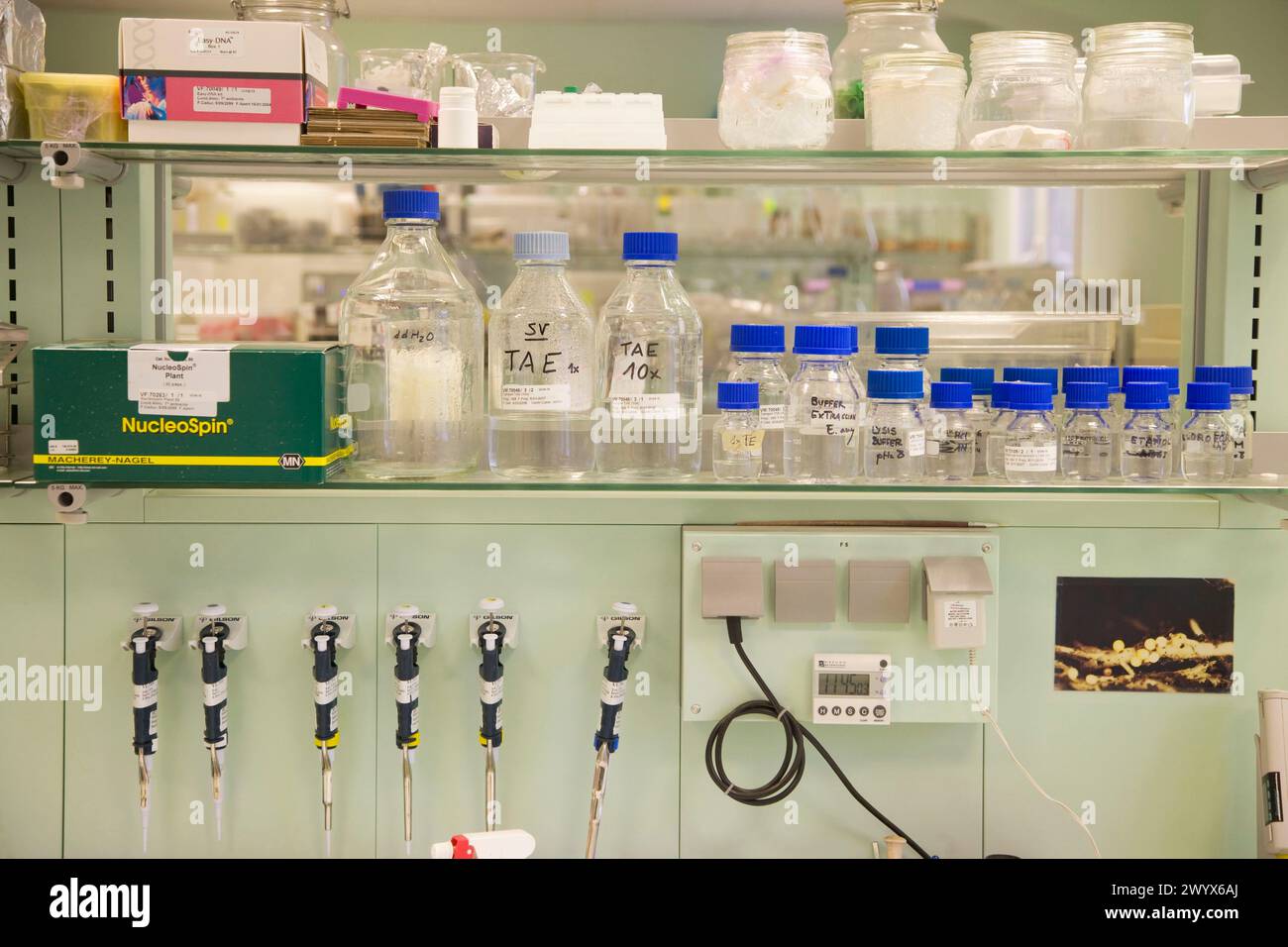 Investigacion desarrollo hi-res stock photography and images - Alamy