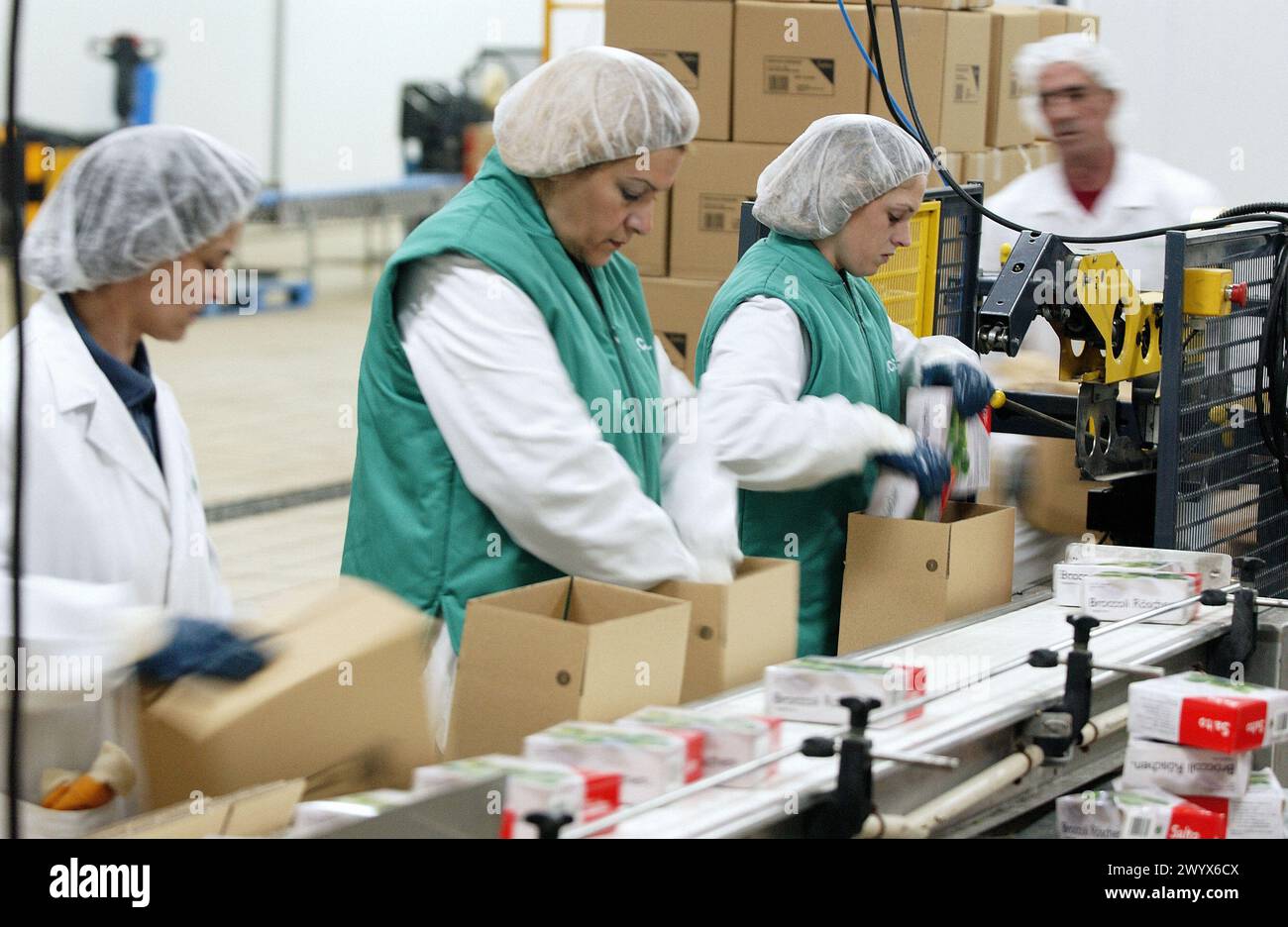 Frozen food industry, broccoli packing line. Navarre. Spain Stock Photo ...