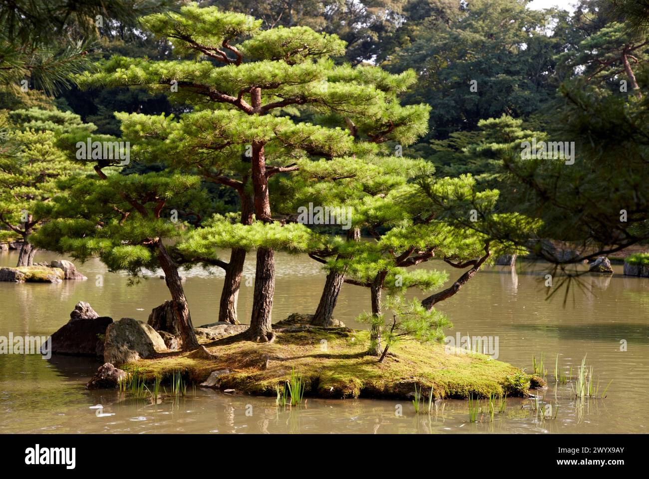 Gardens, Kinkakuji Temple, The Golden Pavilion, Rokuon-ji temple, Kyoto, Japan. Stock Photo