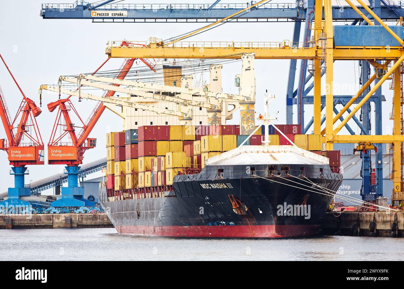 Msc naisha iii hi-res stock photography and images - Alamy