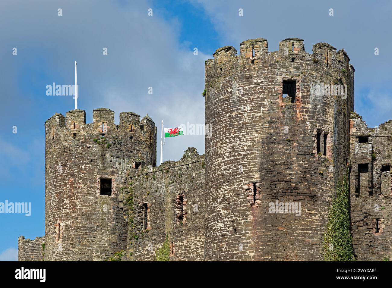 Towers, flag, Castle, Conwy, Wales, Great Britain Stock Photo