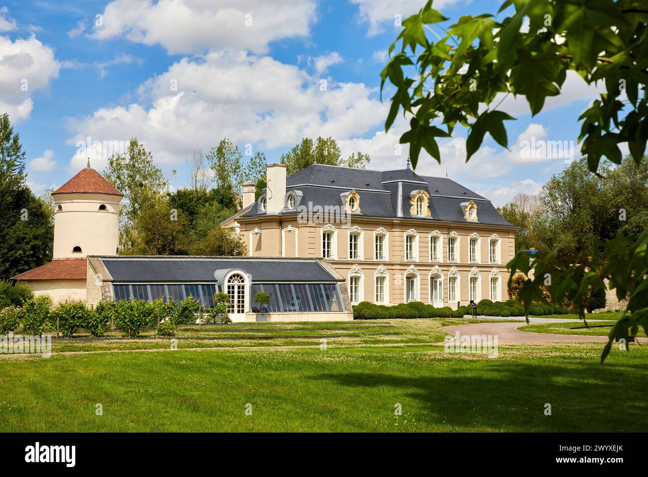 Champagne Devaux, Hameau de Villeneuve, Bar-sur-Seine, Aube, Champagne-Ardenne, France, Europe. Stock Photo