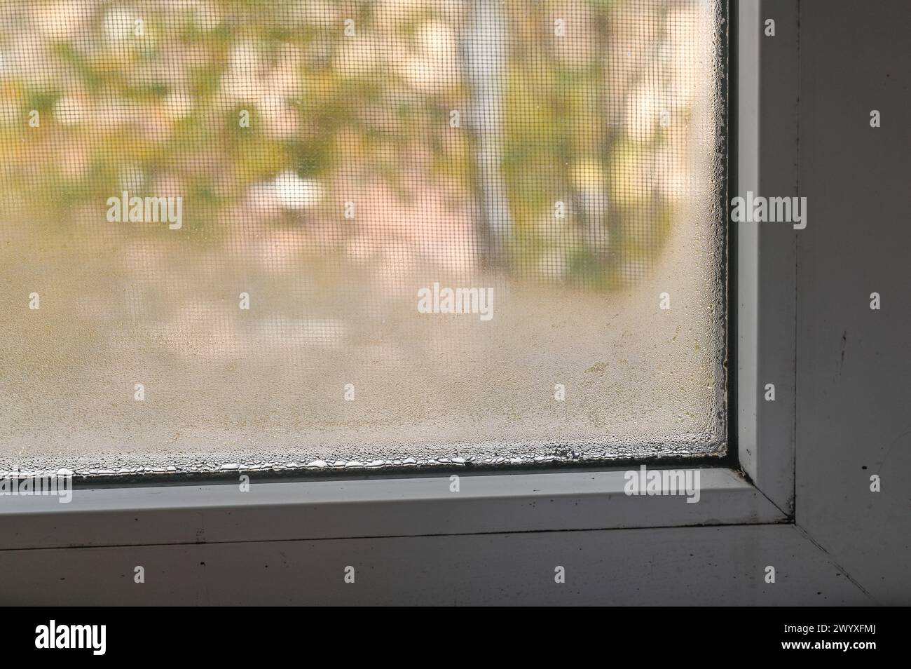 The fogged window. wet glass due to dampness Stock Photo Alamy