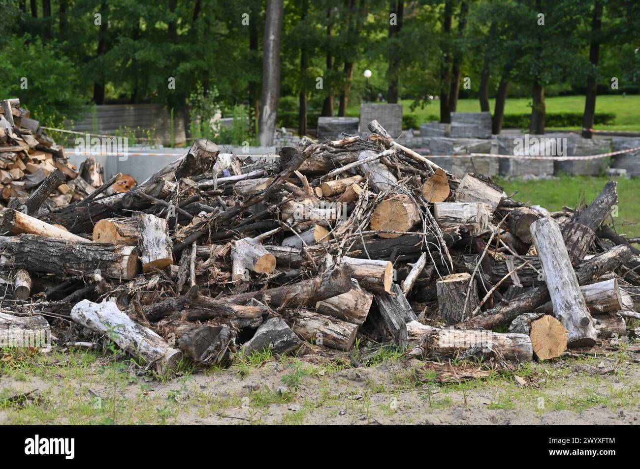 Pile dry logs branches hi-res stock photography and images - Alamy