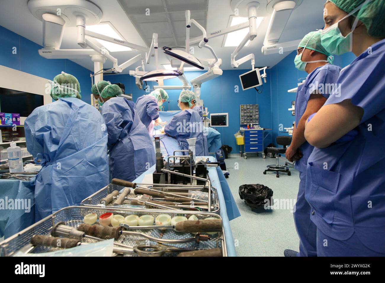 Hip replacement surgery, Orthopedics and Trauma surgery, Surgeon