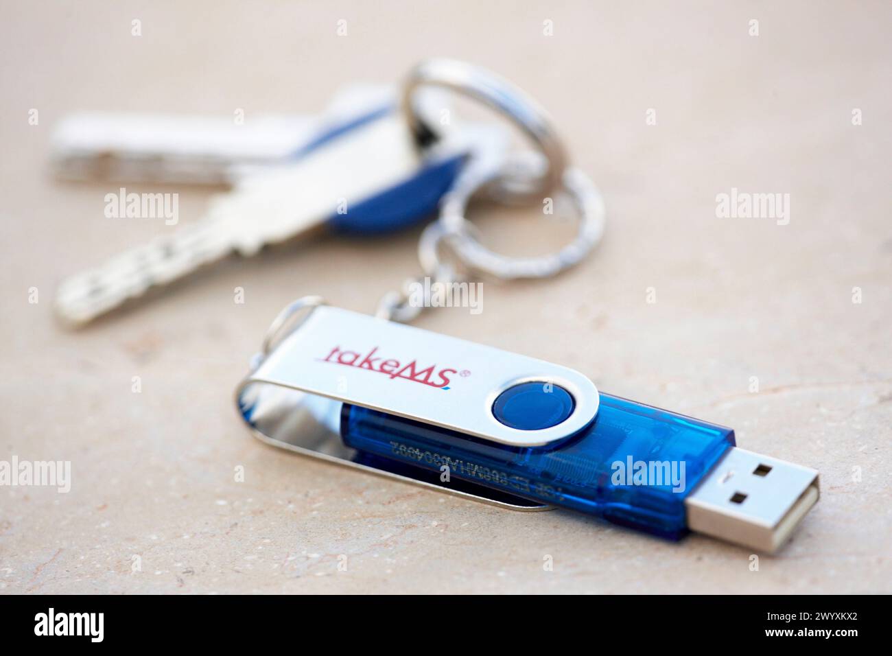 Key ring with pendrive. Stock Photo