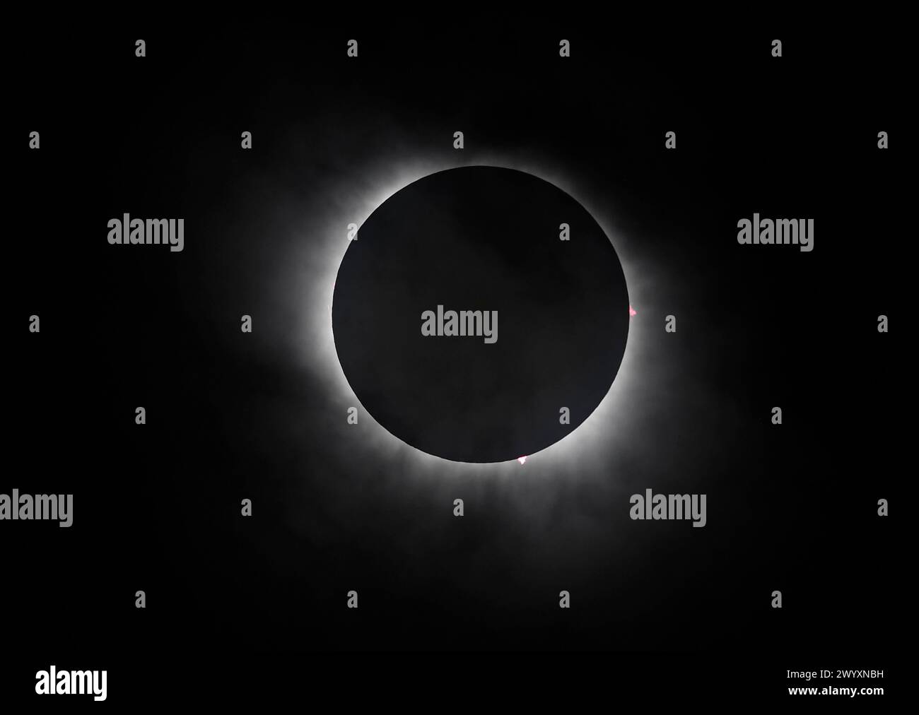 Burnet, Texas United States, April 8 2024. A total solar eclipse of the ...