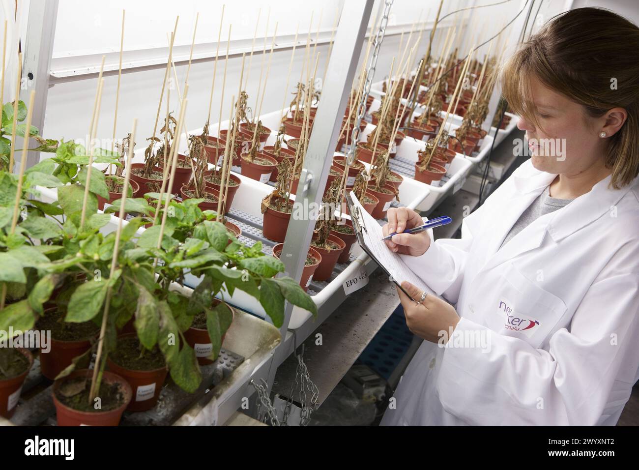 Planta de control hi-res stock photography and images - Alamy