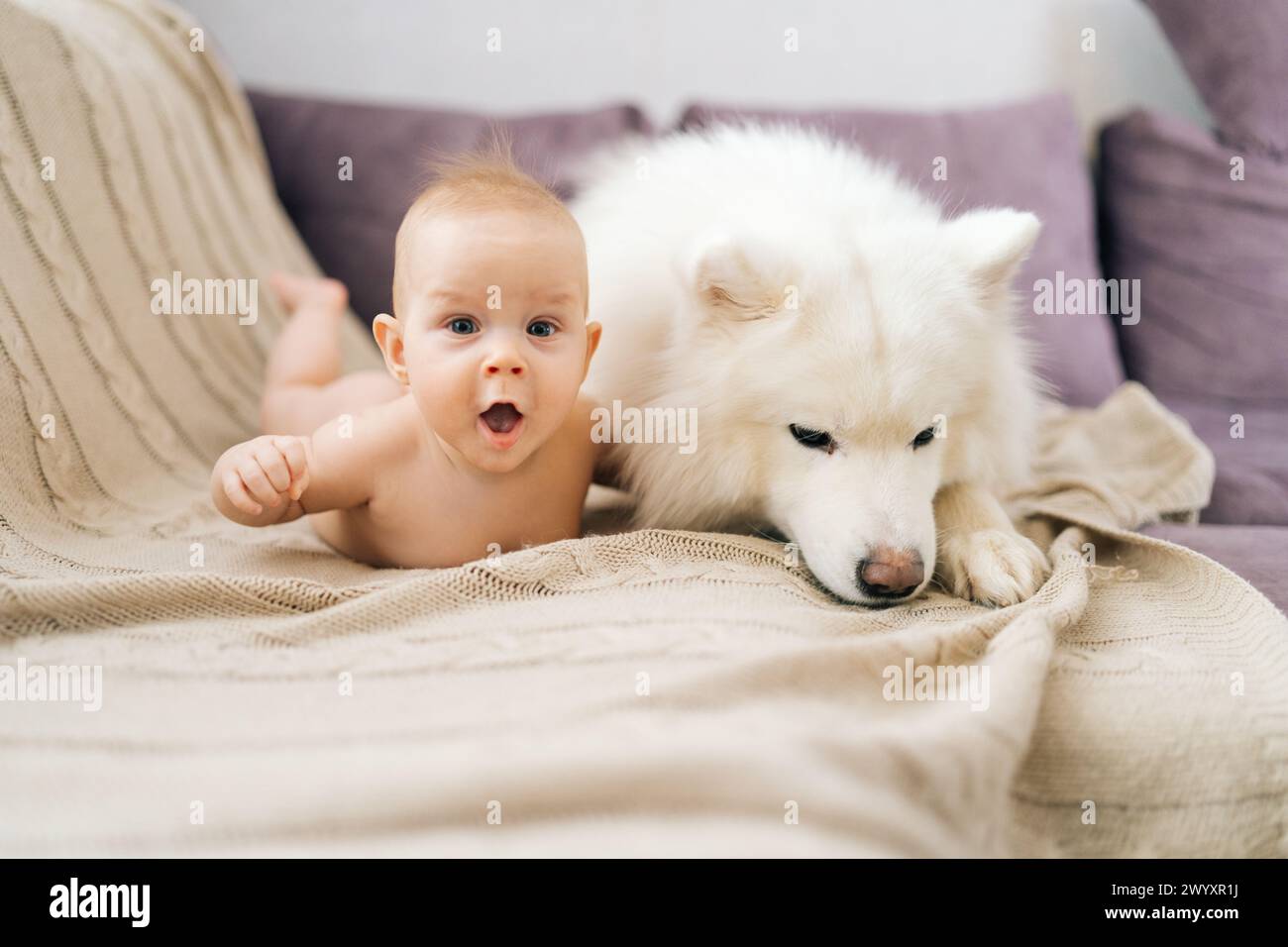 Adorable funny child sleeping with pet. Happy little child and lovely dog friendship. Portrait of relaxed infant baby lying on stomach together with Stock Photo Alamy