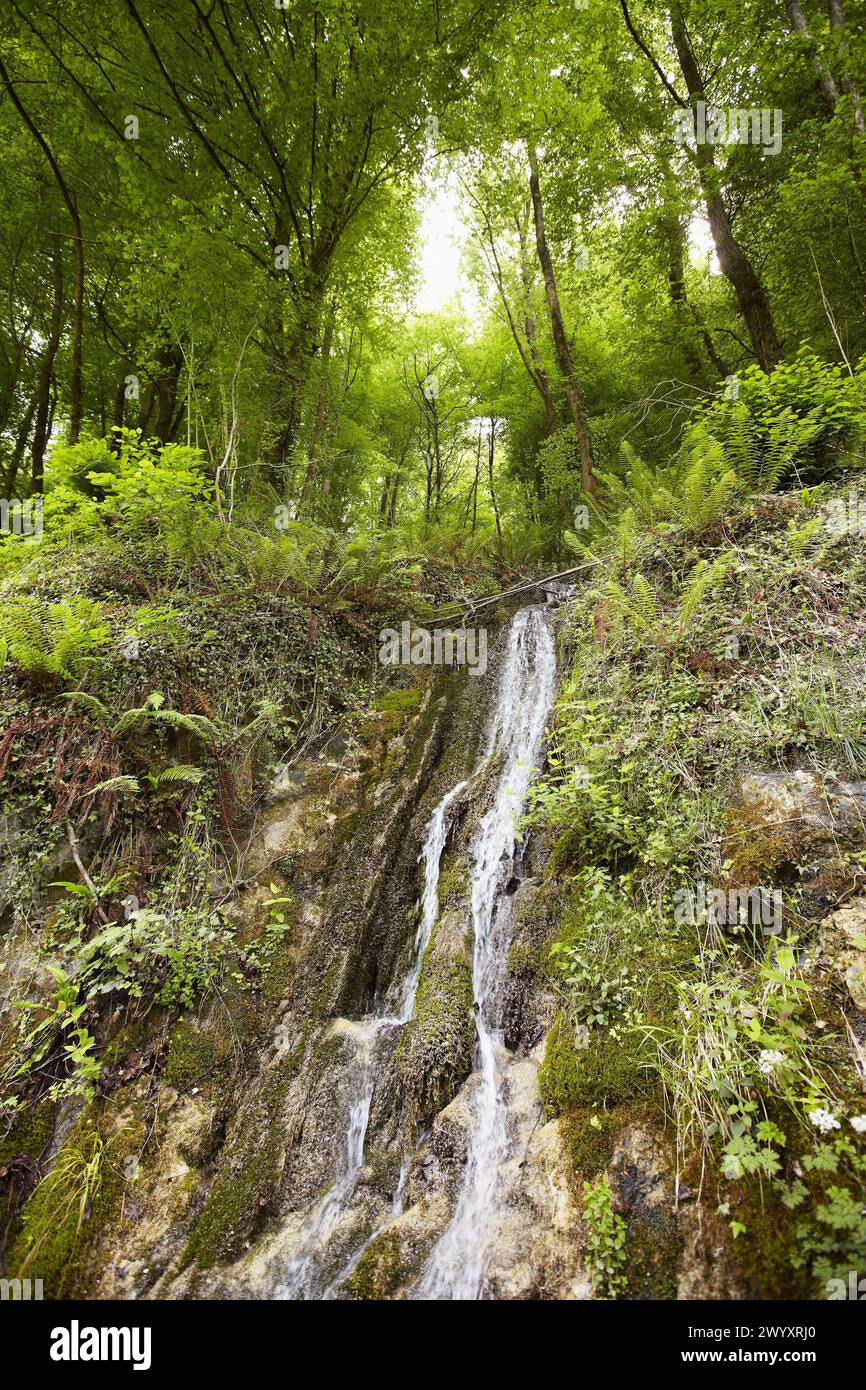 Waterfall near Beizama, Guipuzcoa, Basque Country, Spain. Stock Photo