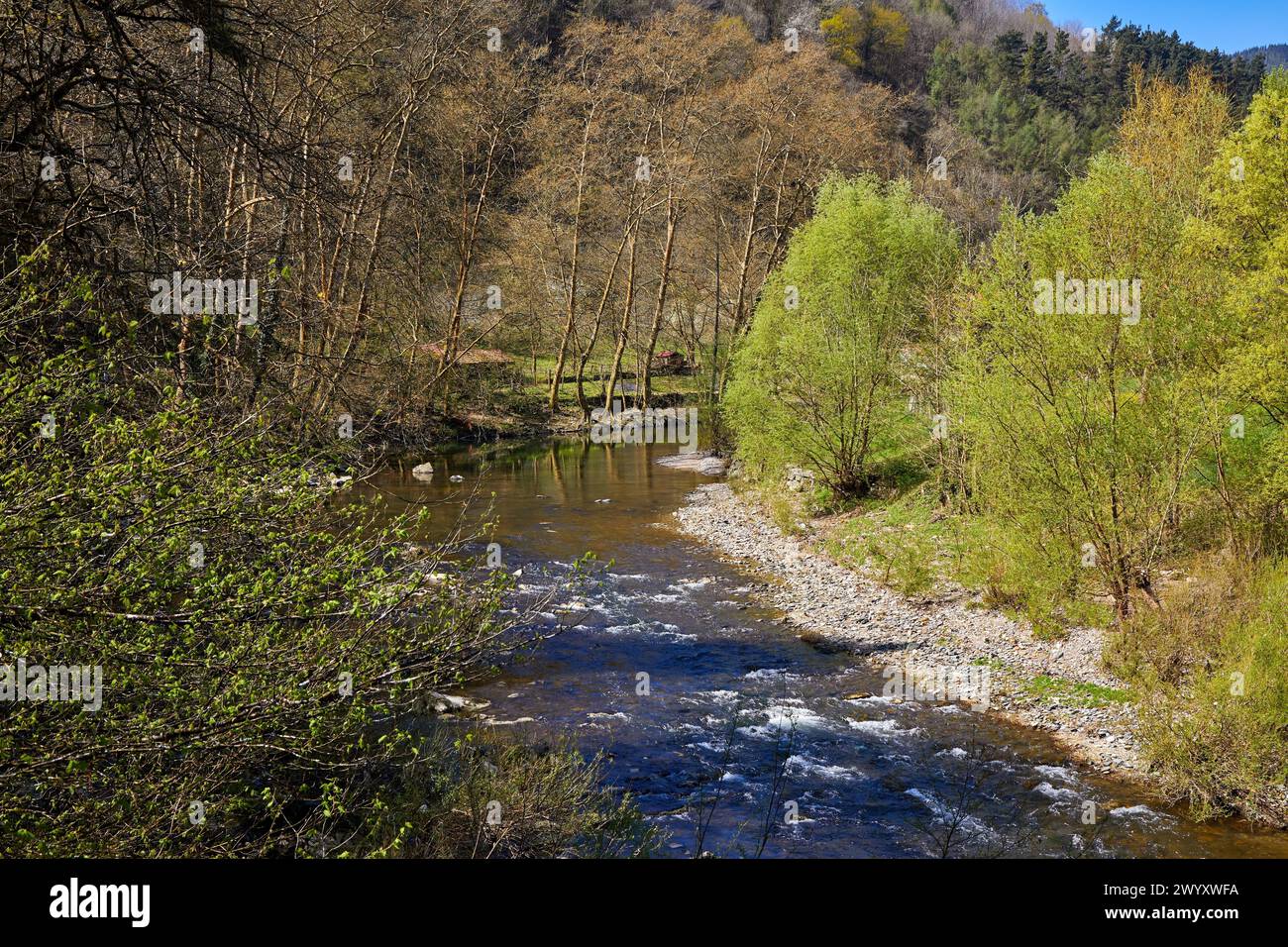 Oria River, Legorreta, Gipuzkoa, Basque Country, Spain. Stock Photo