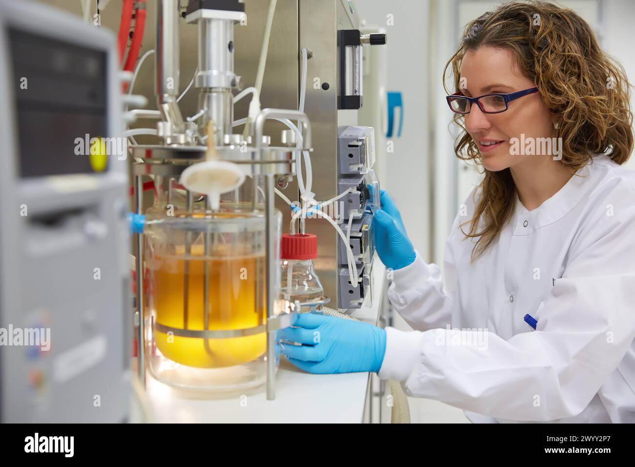 BIOSTAT fermenter. Bioprocess Laboratory. Energy and Environment Division. Tecnalia Research and Innovation. Miñano. Alava. Basque Country. Spain. Europe. Stock Photo