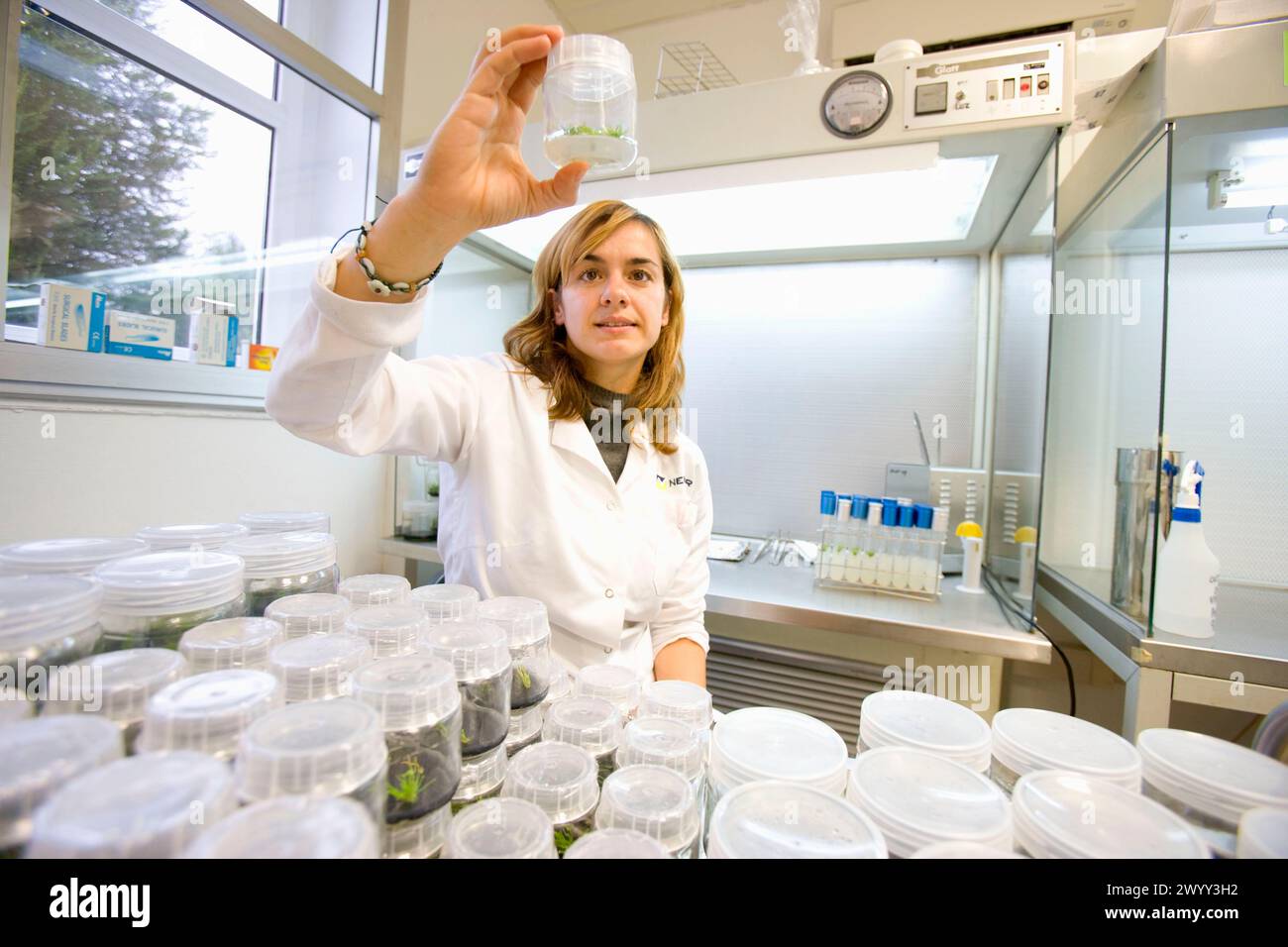 Planta de laboratorio hi-res stock photography and images - Alamy