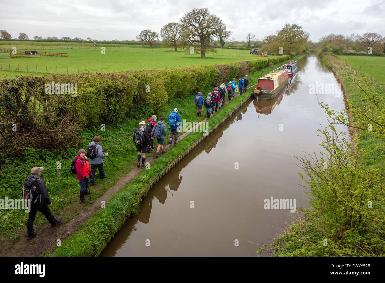 U3A walking group on a walk along the Llangollen canal near Nantwich Cheshire Stock Photo