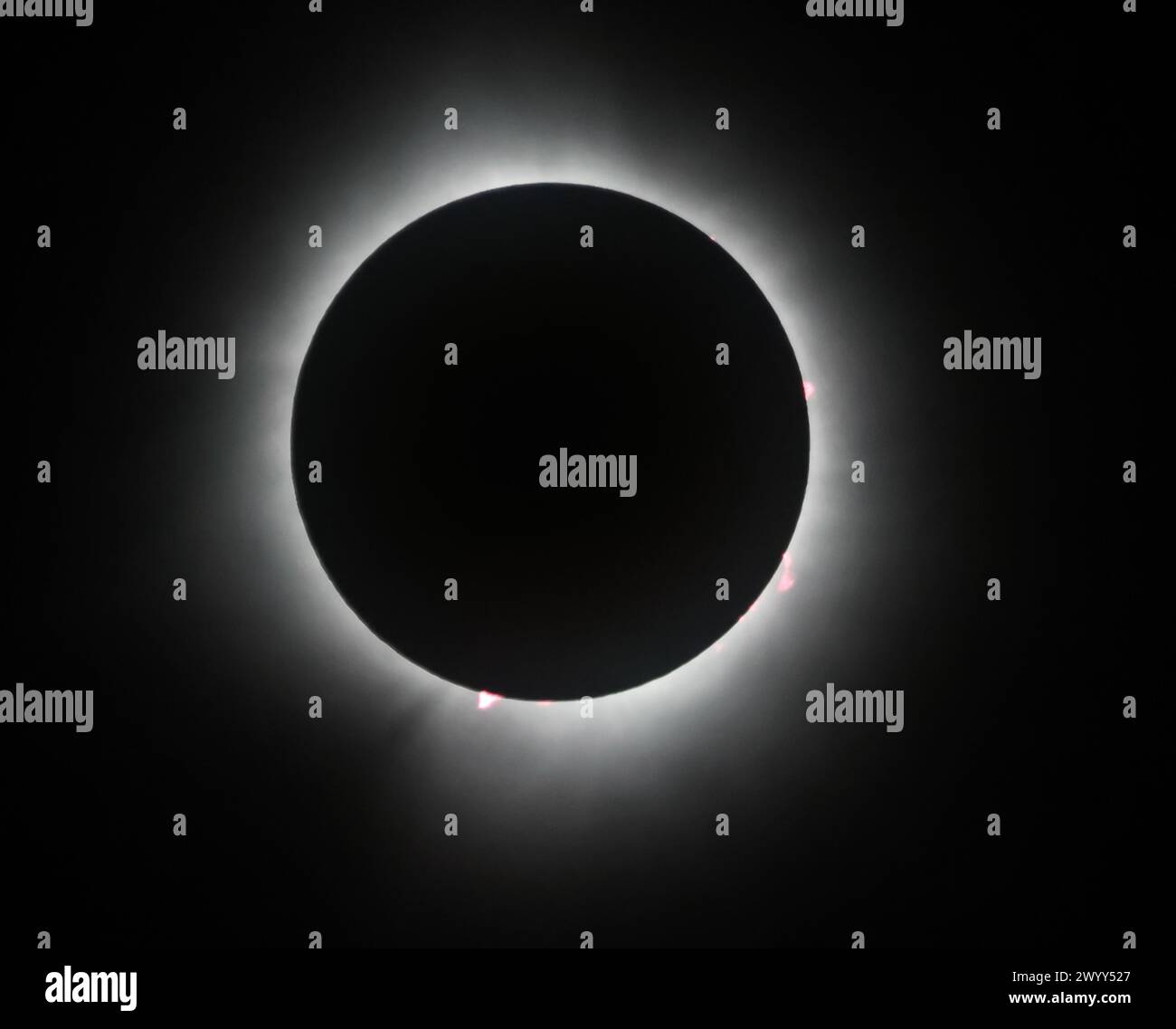 Indianapolis, United States. 08th Apr, 2024. The suns' corona and solar