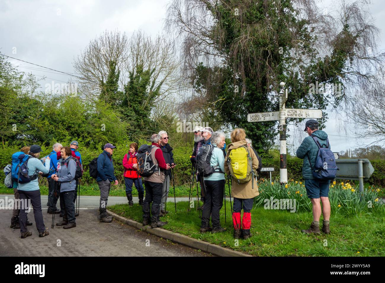 Sandbach Cheshire U3A walking group out on one of there regular mid week walks of up to 10 miles in the cheshire countryside Stock Photo