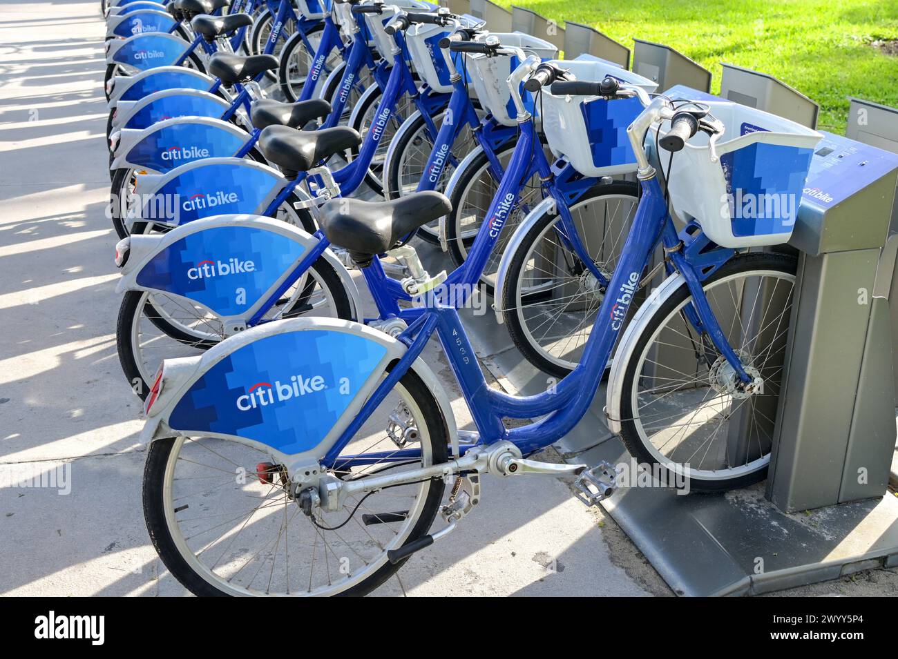 South beach bike rentals hotsell
