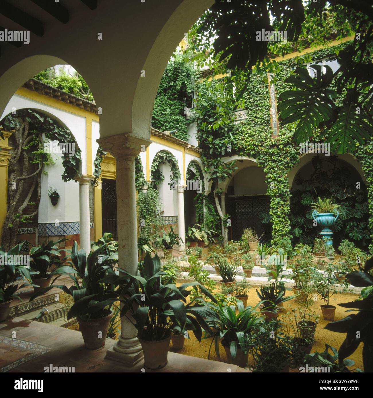 Planta de patio hi-res stock photography and images - Alamy, image size:1300x1387