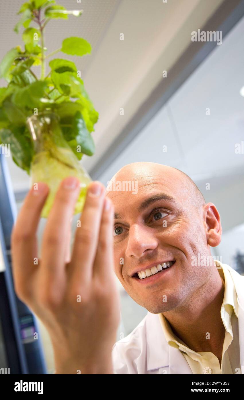 Planta de laboratorio hi-res stock photography and images - Alamy