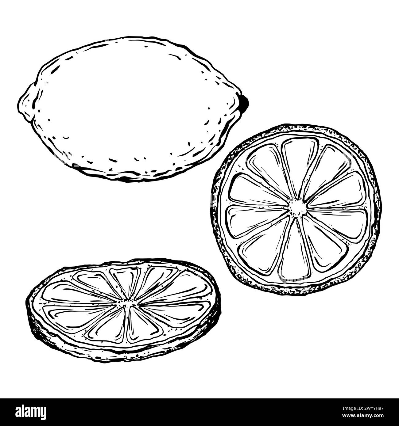 Flowers and fruit Black and White Stock Photos &amp; Images - Alamy