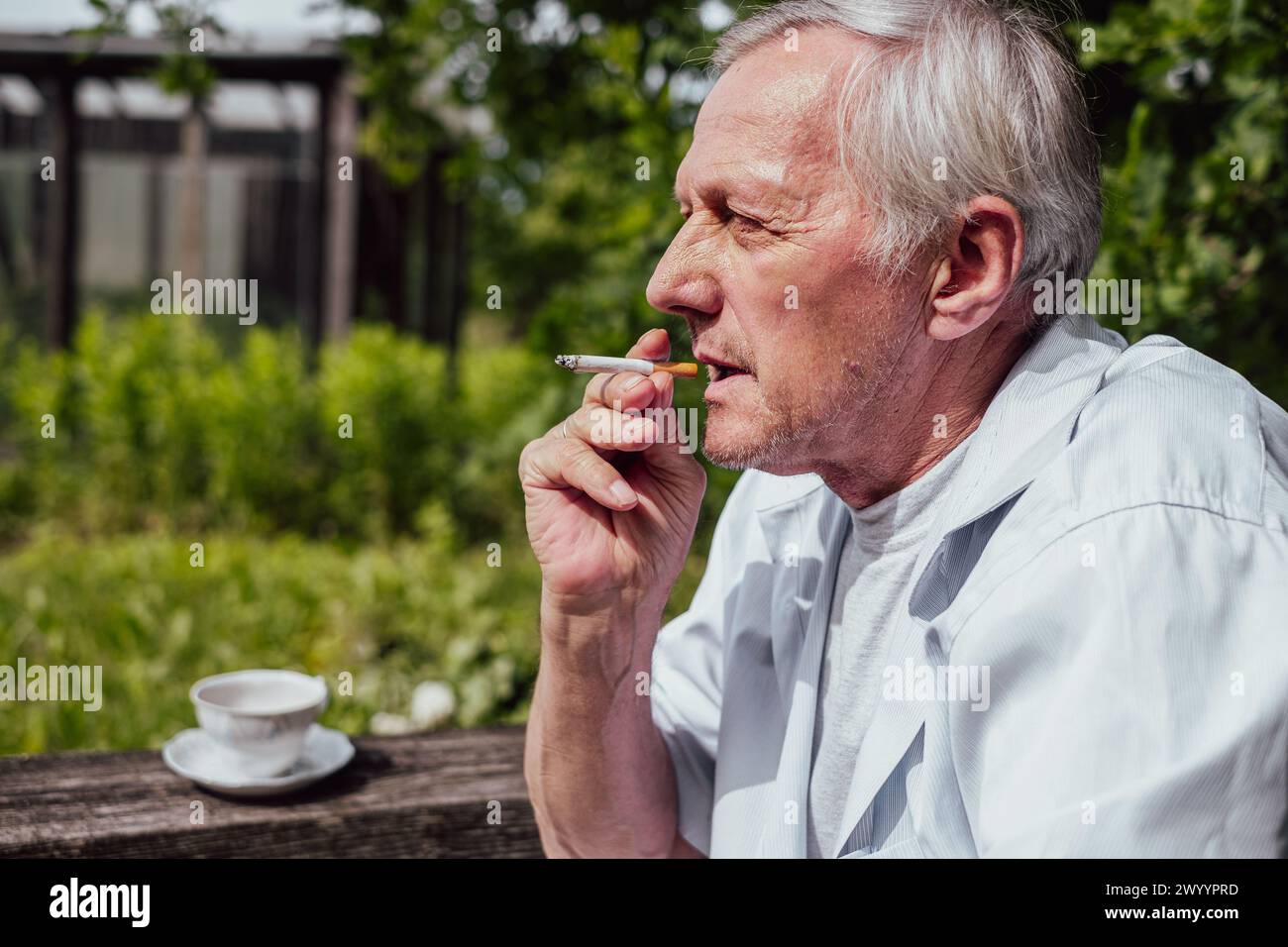 Amidst the tranquility of green surroundings, an aged man savors a cigarette, reflecting on the complexities of old age and habits, addictions. High q Stock Photo