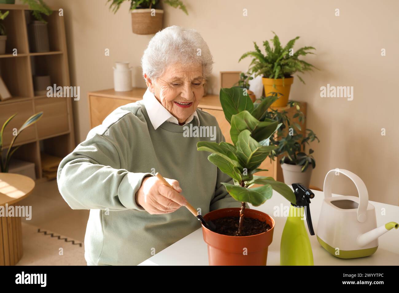 Senior planting table hi-res stock photography and images - Alamy