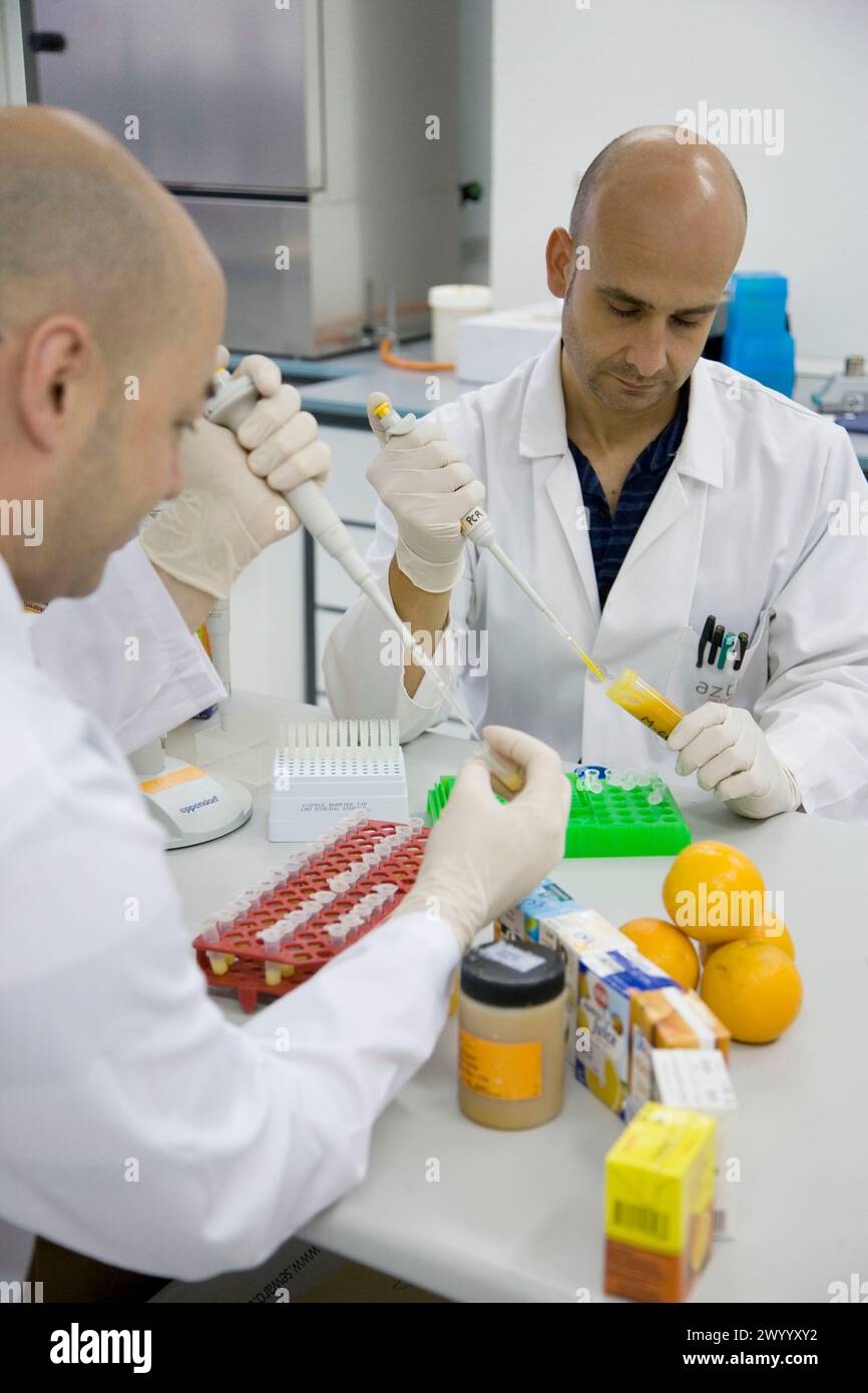 Molecular Biology Laboratory. Preparing samples to detect the addition