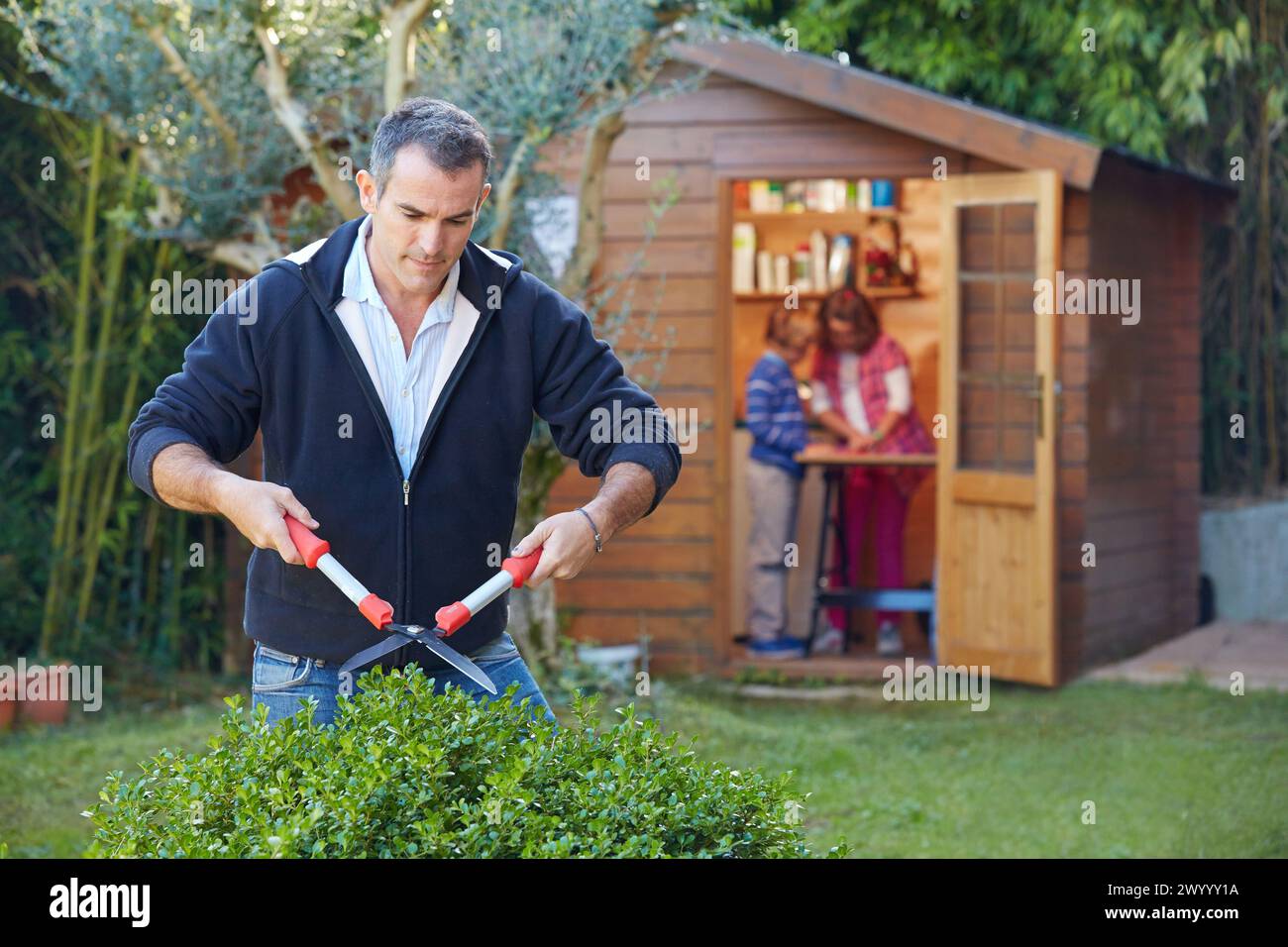 Father and children doing DIY in the garden. Cutting a hedge. Stock Photo